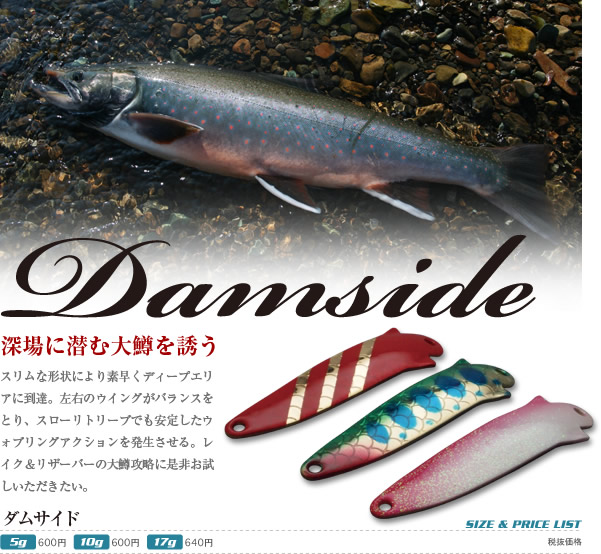 ダムサイド