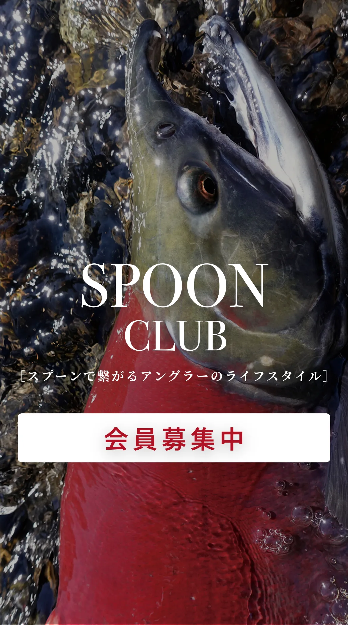 SPOON CLUB（スプーンクラブ会員募集）